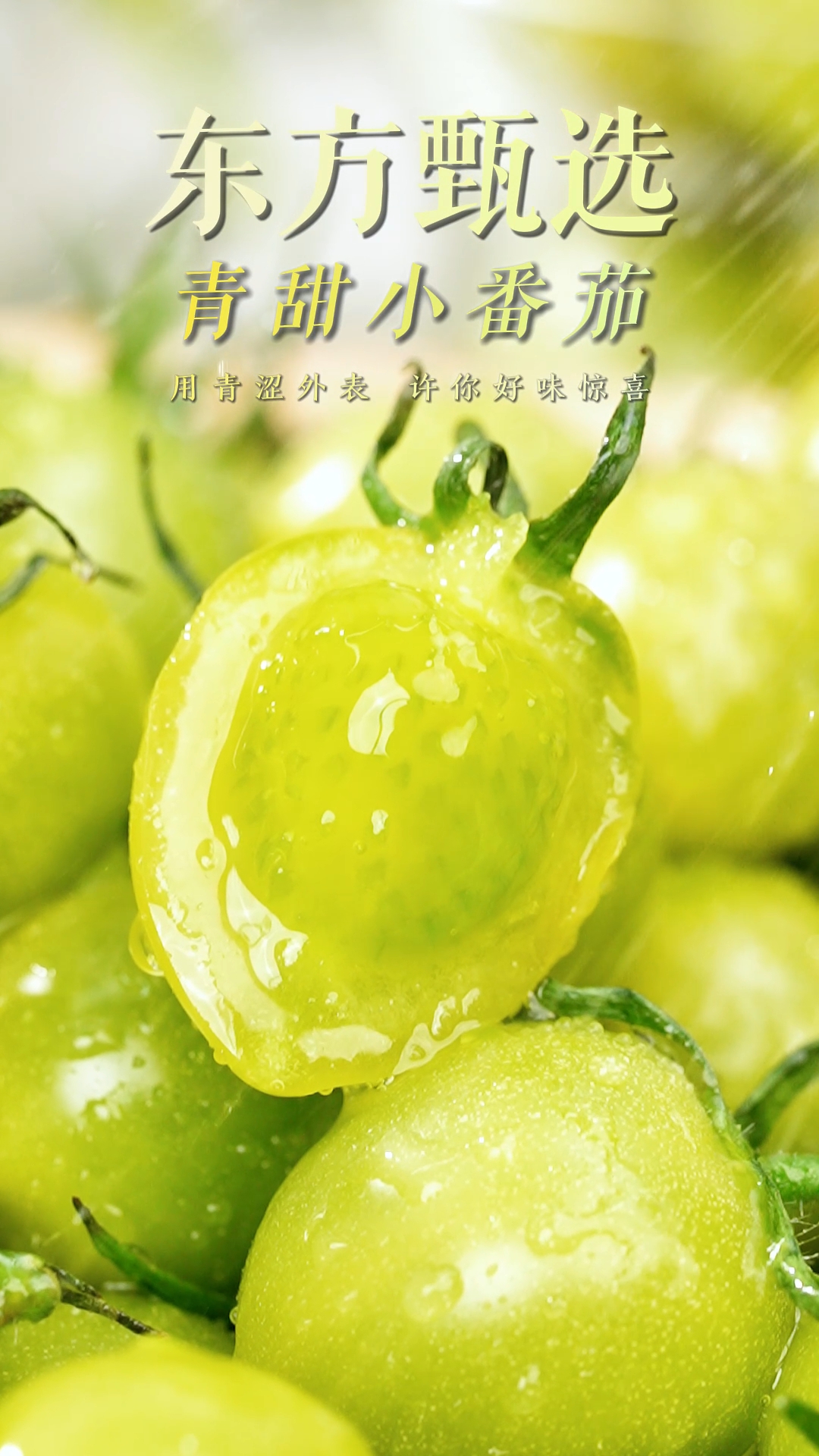 小番茄广告