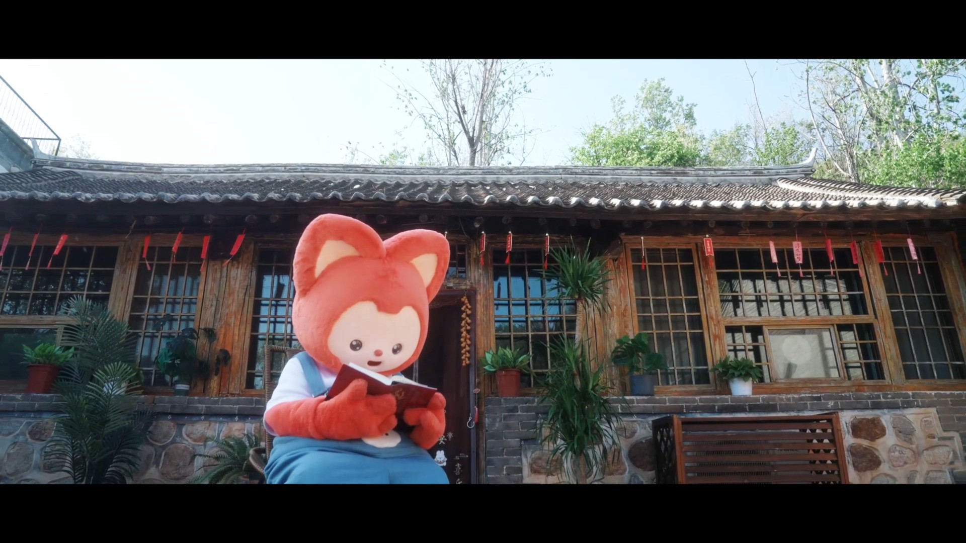 阿狸读书
